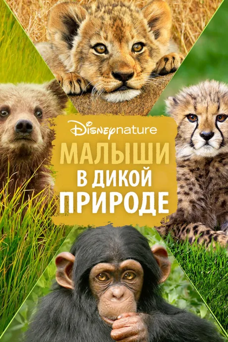 Малыши в дикой природе (2015)