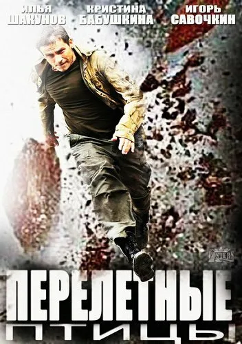 Перелётные птицы (сериал 2014)