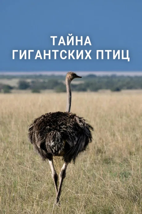 Тайна гигантских птиц (2024)